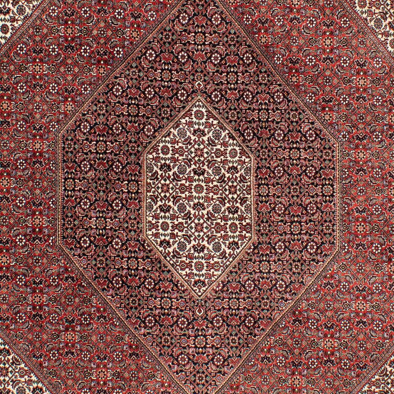 Tapis persan - Bidjar - 294 x 204 cm - rouge clair
