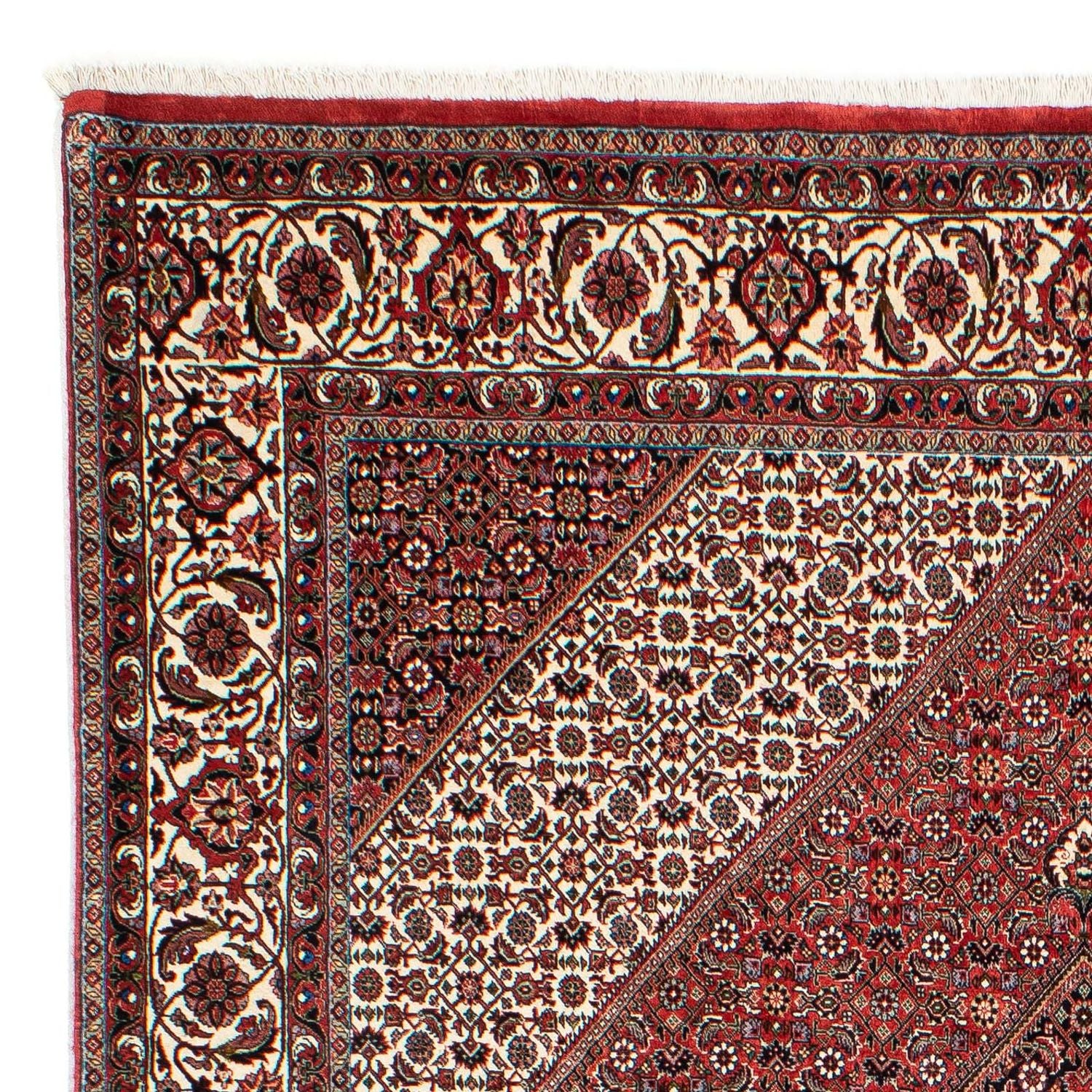 Tapis persan - Bidjar - 294 x 204 cm - rouge clair