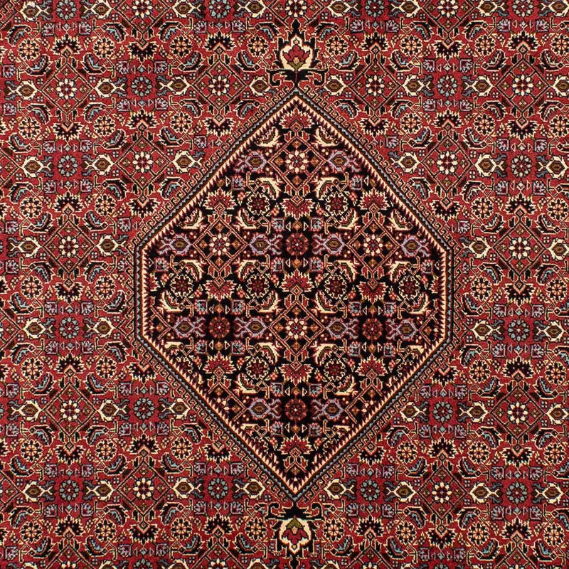Tapis persan - Bidjar - 296 x 198 cm - marron