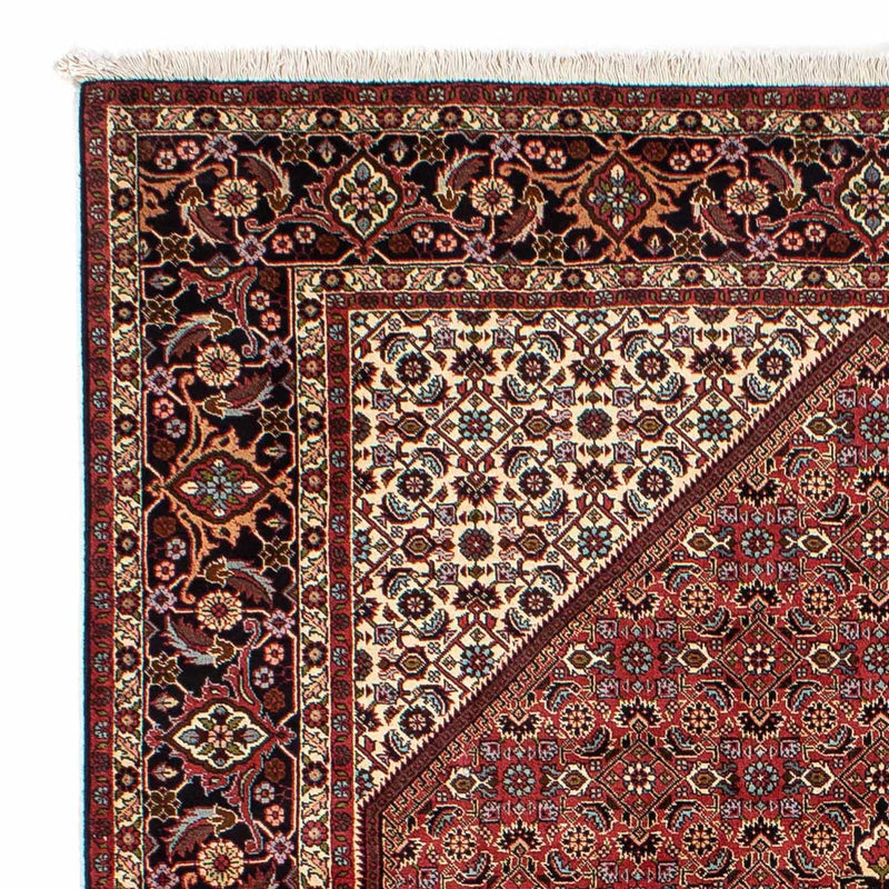 Tapis persan - Bidjar - 296 x 198 cm - marron