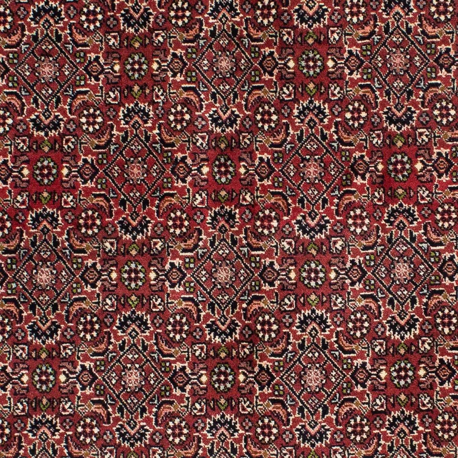 Tapis persan - Bidjar - 208 x 139 cm - rouge