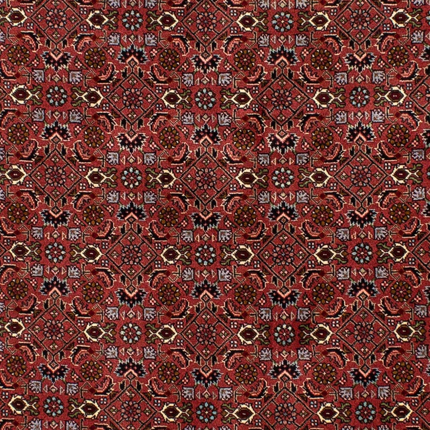 Tapis persan - Bidjar - 205 x 136 cm - rouge foncé