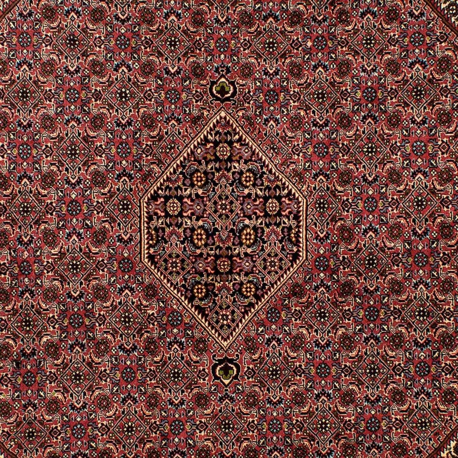 Perserteppich - Bidjar 291 x 201 cm