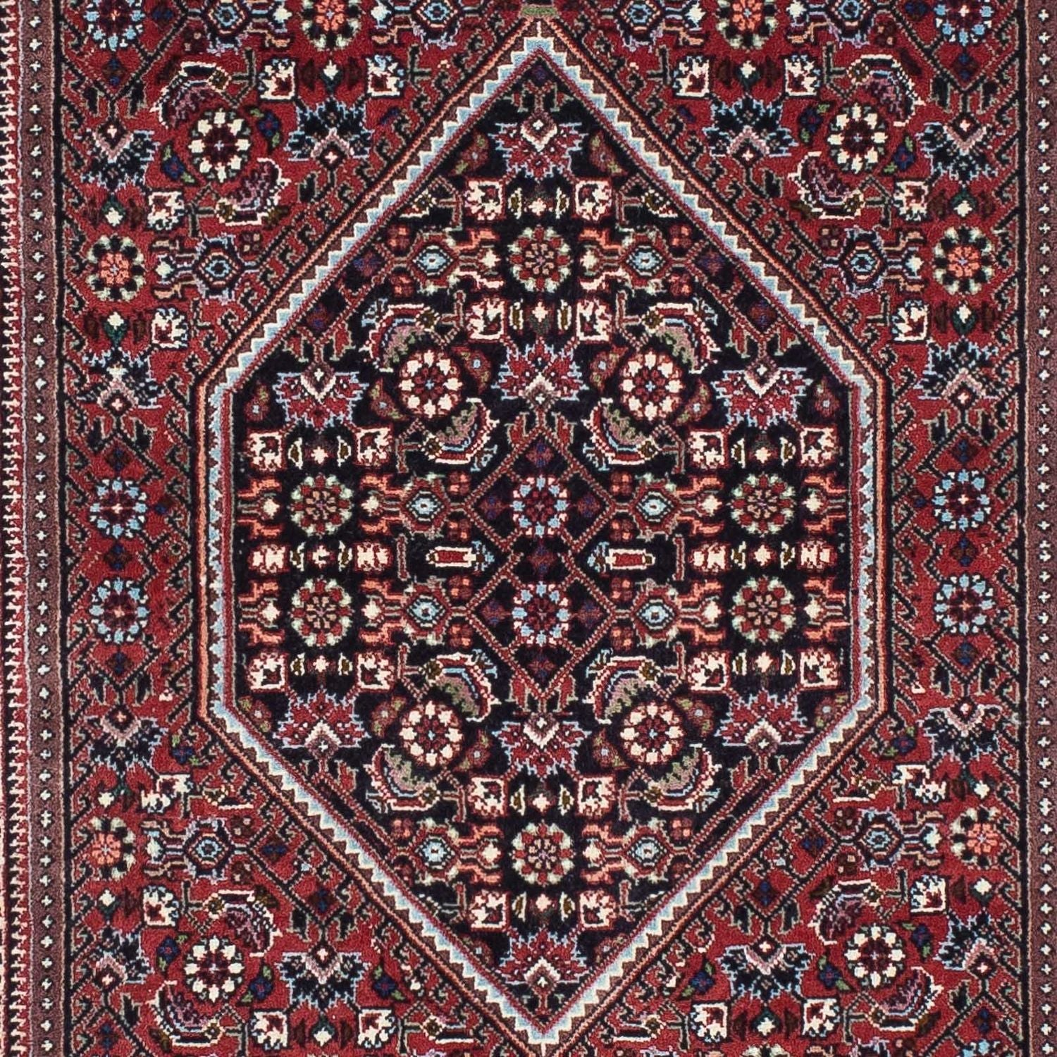 Tapis de couloir Tapis persan - Bidjar - 225 x 72 cm - rouge