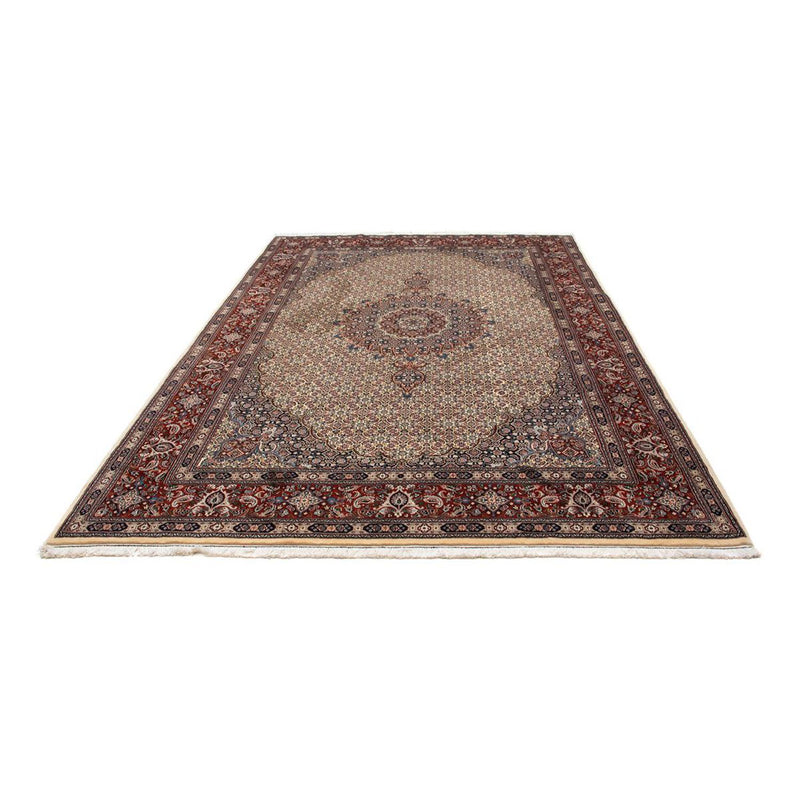 Tapis persan - Classique - 308 x 205 cm - beige