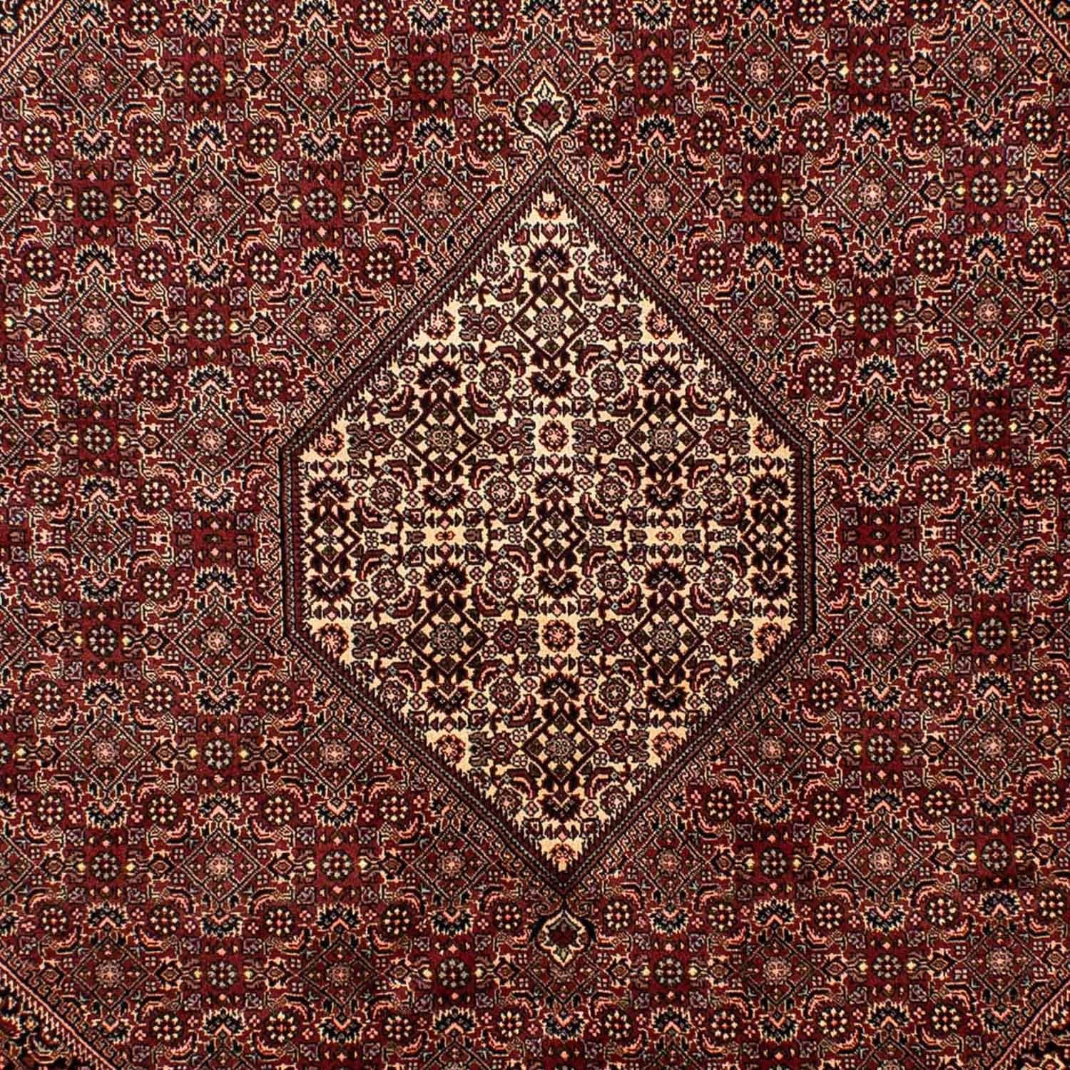 Tapis persan - Bidjar - 284 x 199 cm - marron