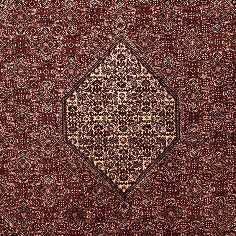 Tapis persan - Bidjar - 284 x 199 cm - marron