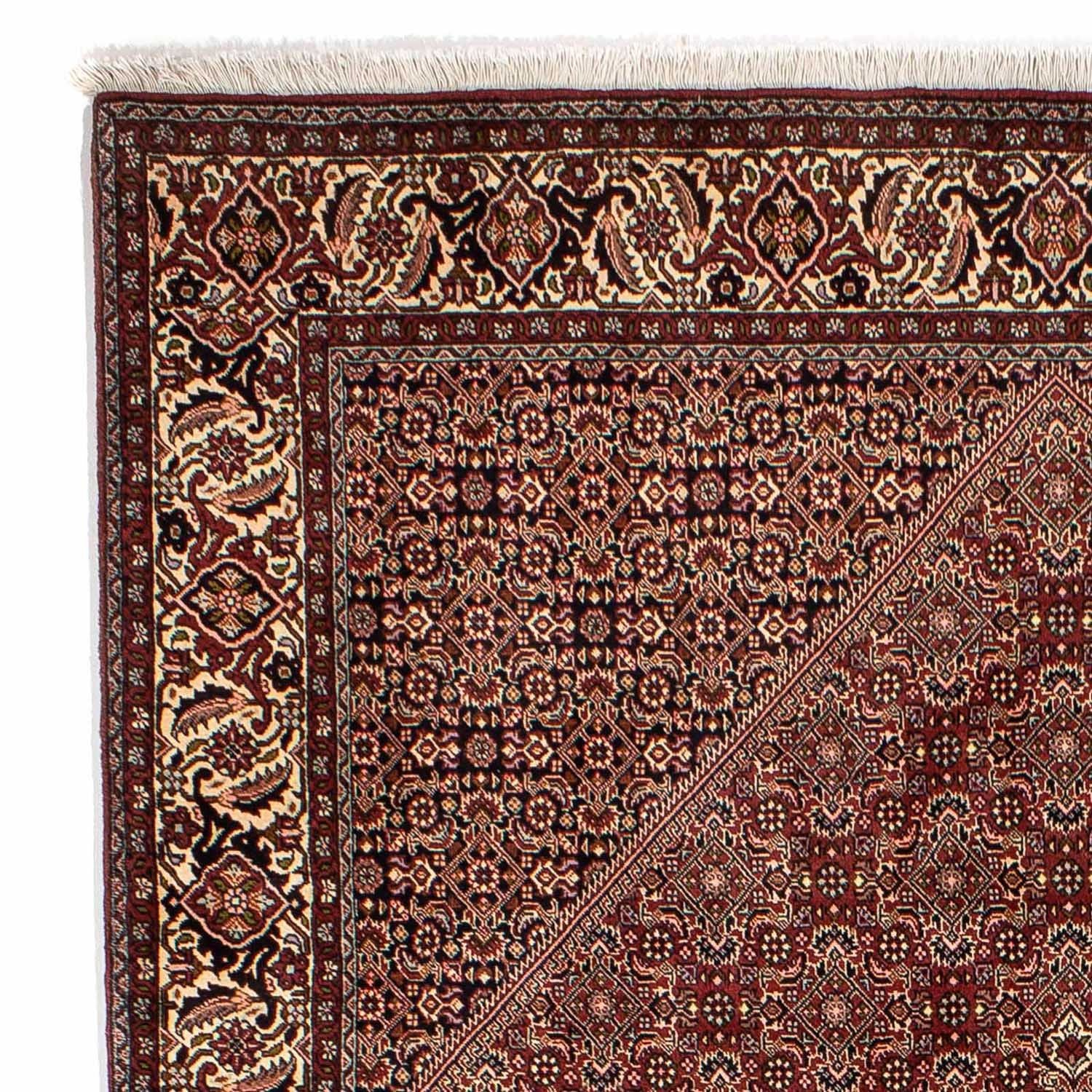 Tapis persan - Bidjar - 284 x 199 cm - marron