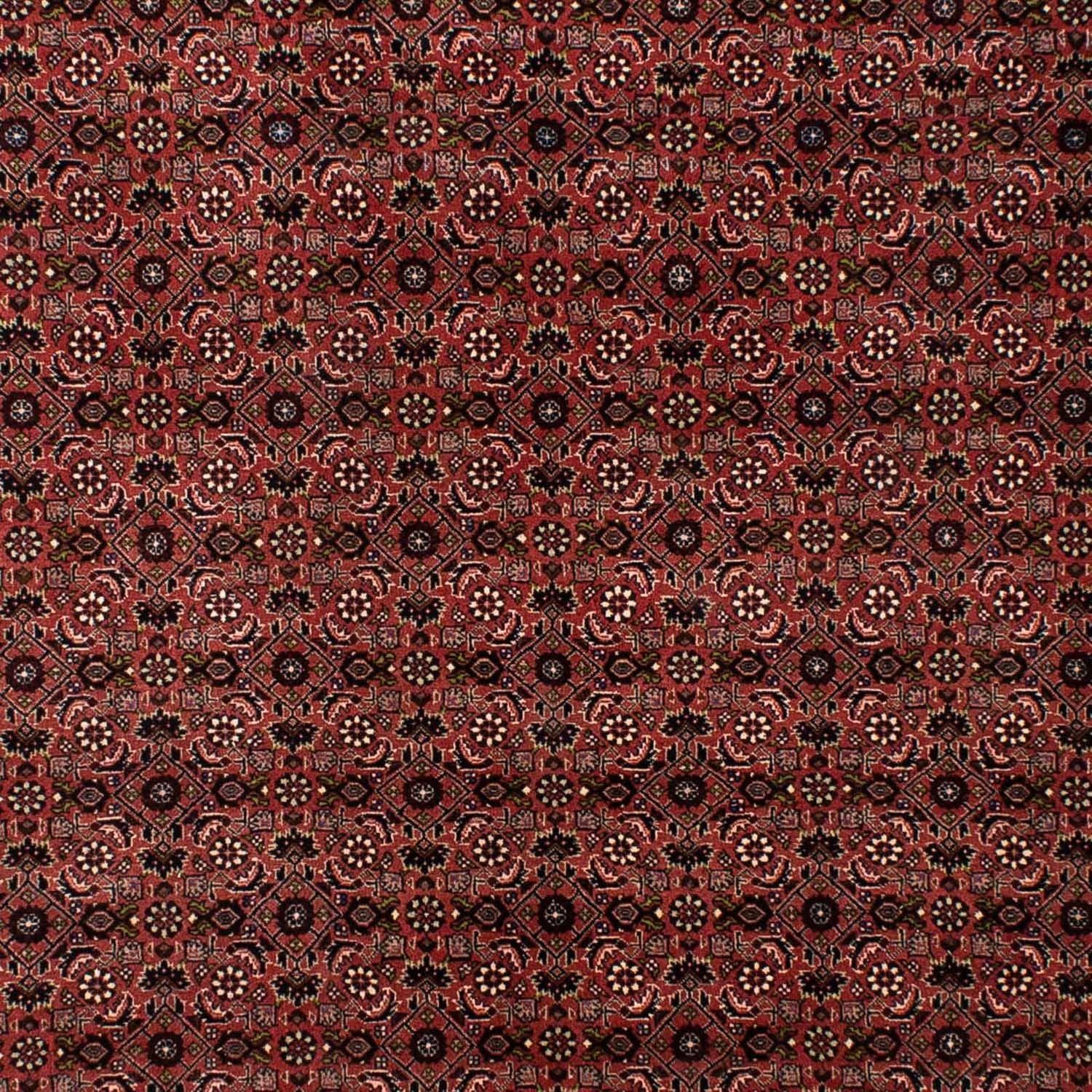 Tapis persan - Bidjar - 295 x 196 cm - rouge foncé