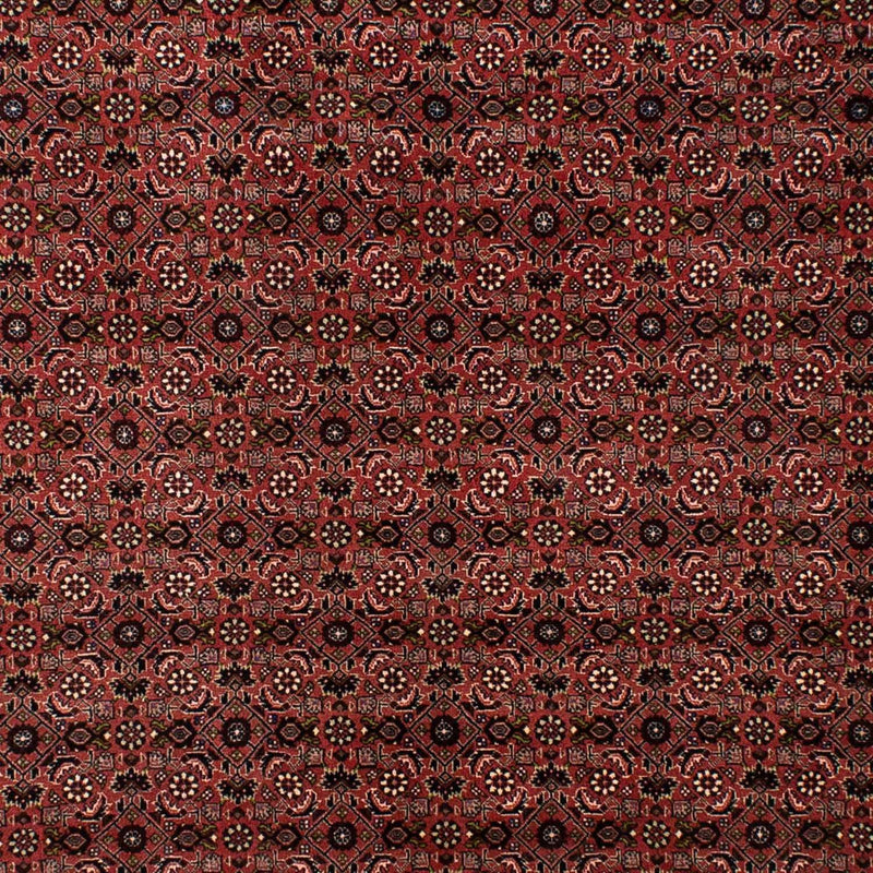 Tapis persan - Bidjar - 295 x 196 cm - rouge foncé