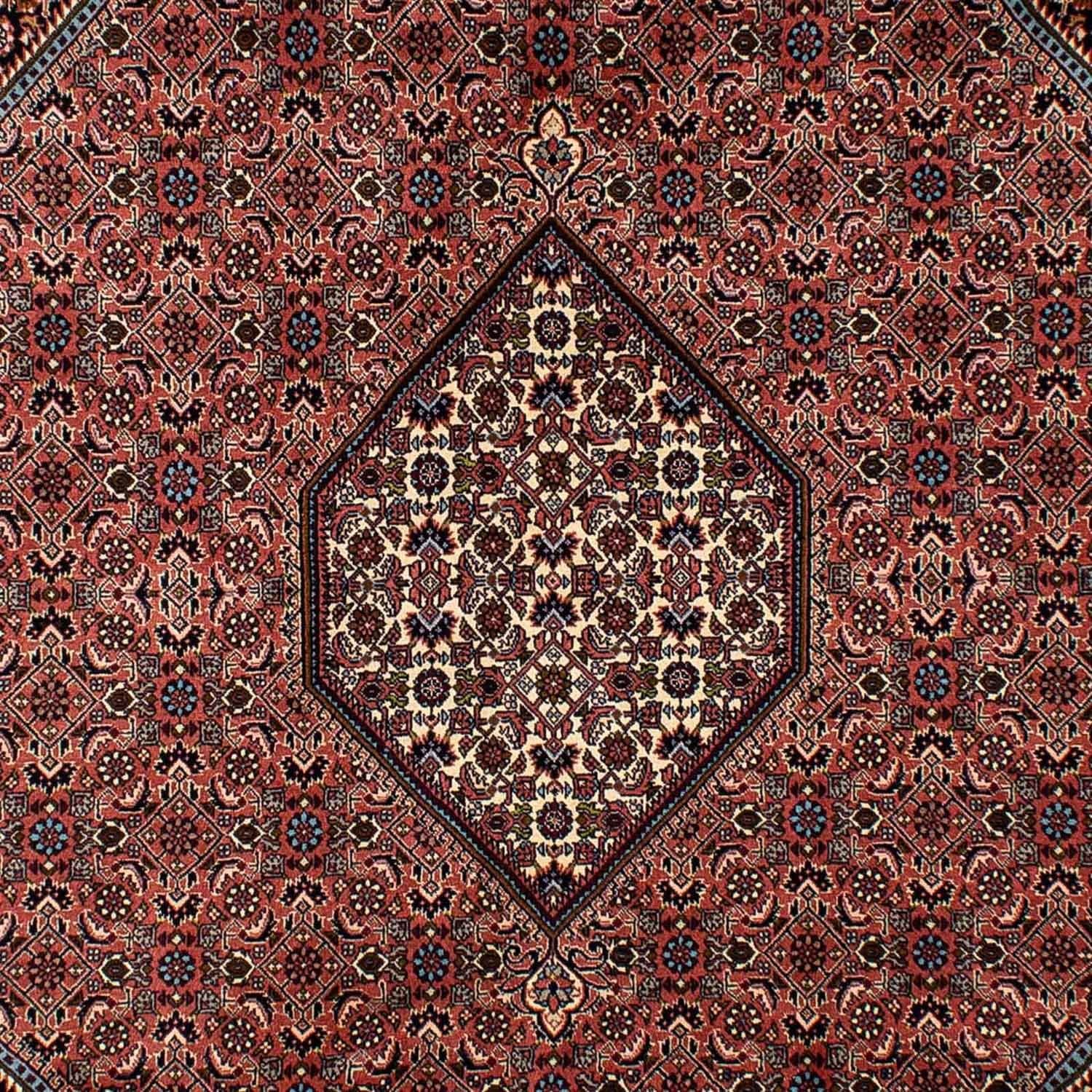 Tapis persan - Bidjar - 296 x 201 cm - marron