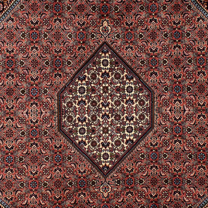 Tapis persan - Bidjar - 296 x 201 cm - marron