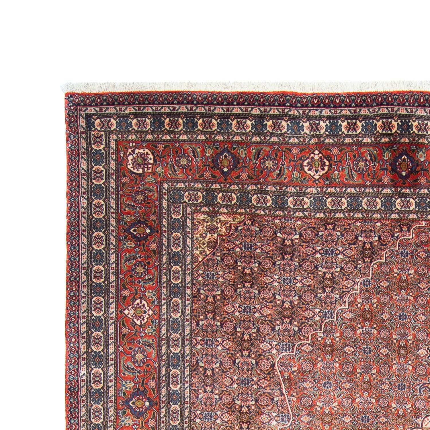 Tapis persan - Nomadic - 294 x 200 cm - rouille