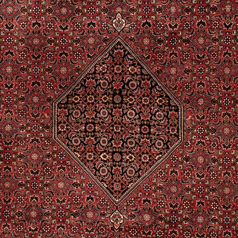 Tapis persan - Bidjar - 300 x 202 cm - marron