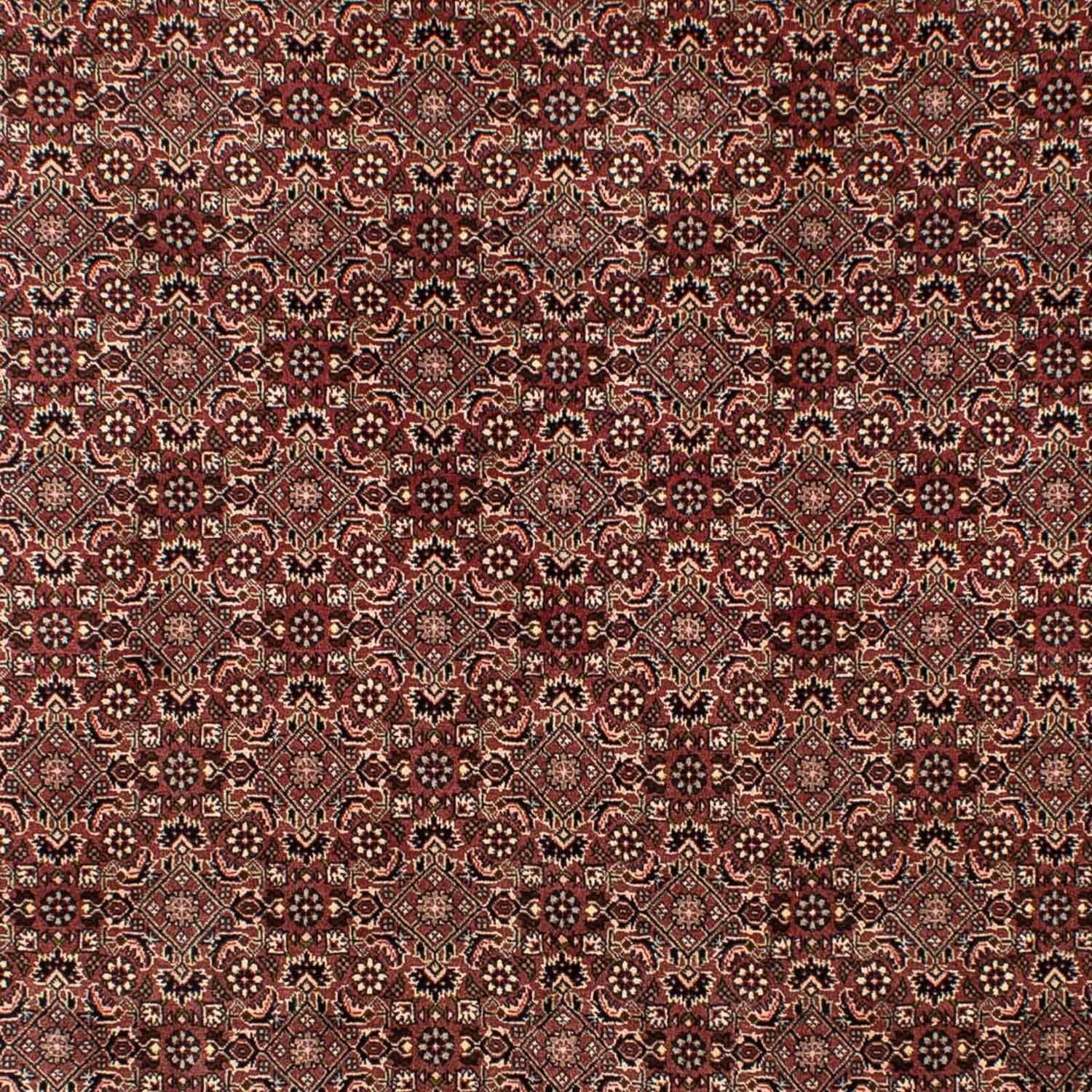 Tapis persan - Nomadic - 307 x 192 cm - marron