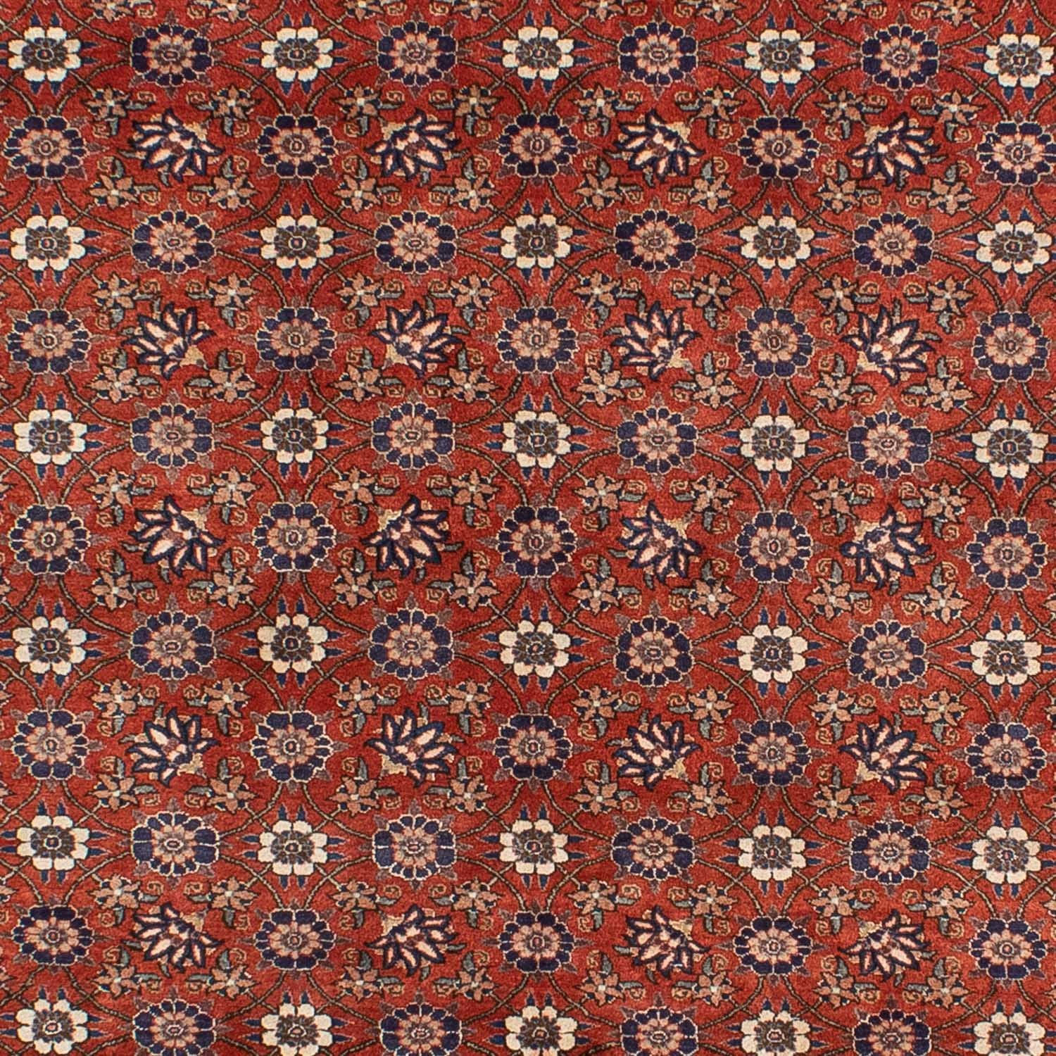 Tapis persan - Nomadic - 301 x 223 cm - rouge