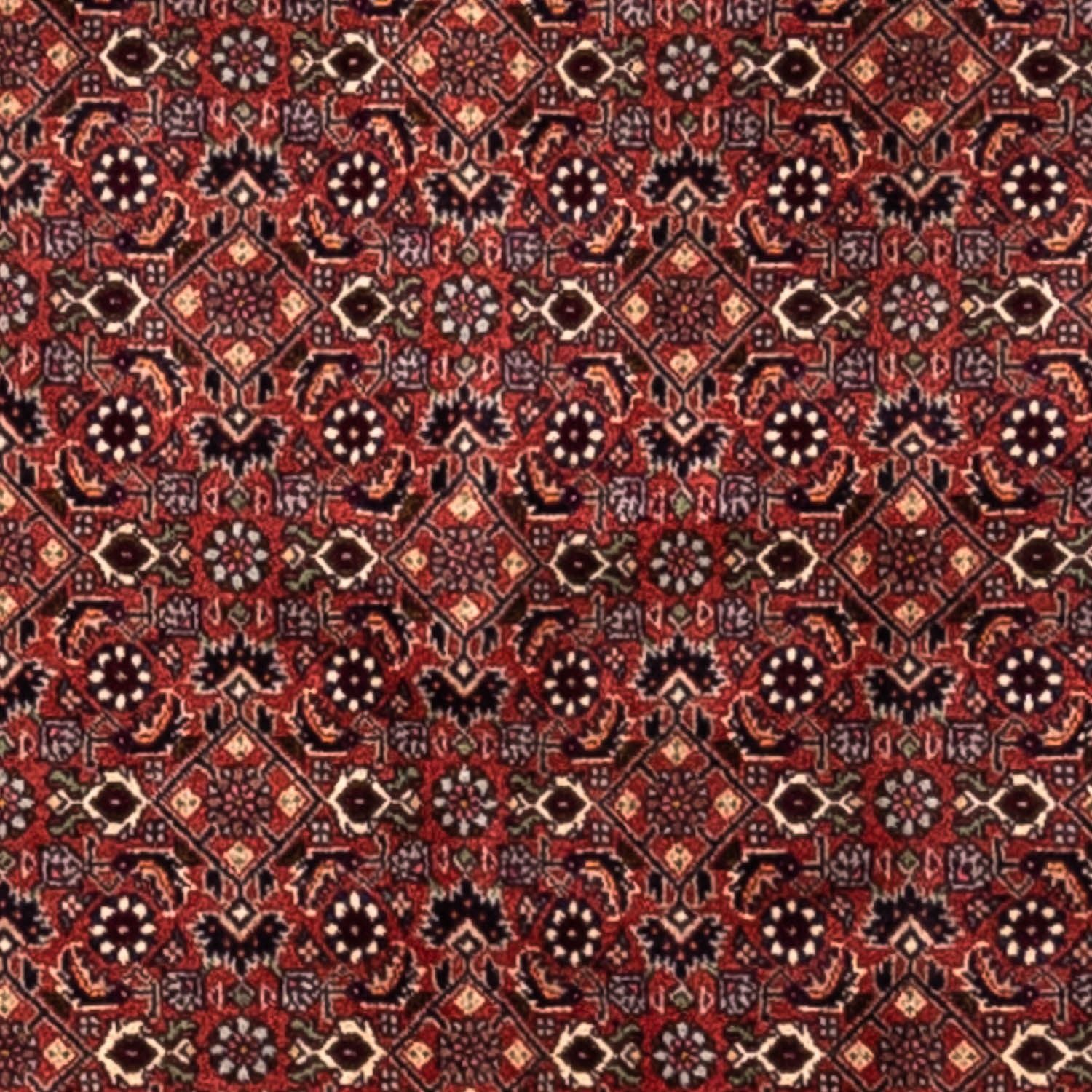 Tapis persan - Bidjar - 293 x 200 cm - rouge