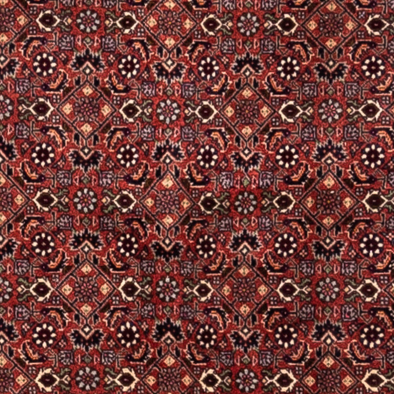 Tapis persan - Bidjar - 293 x 200 cm - rouge