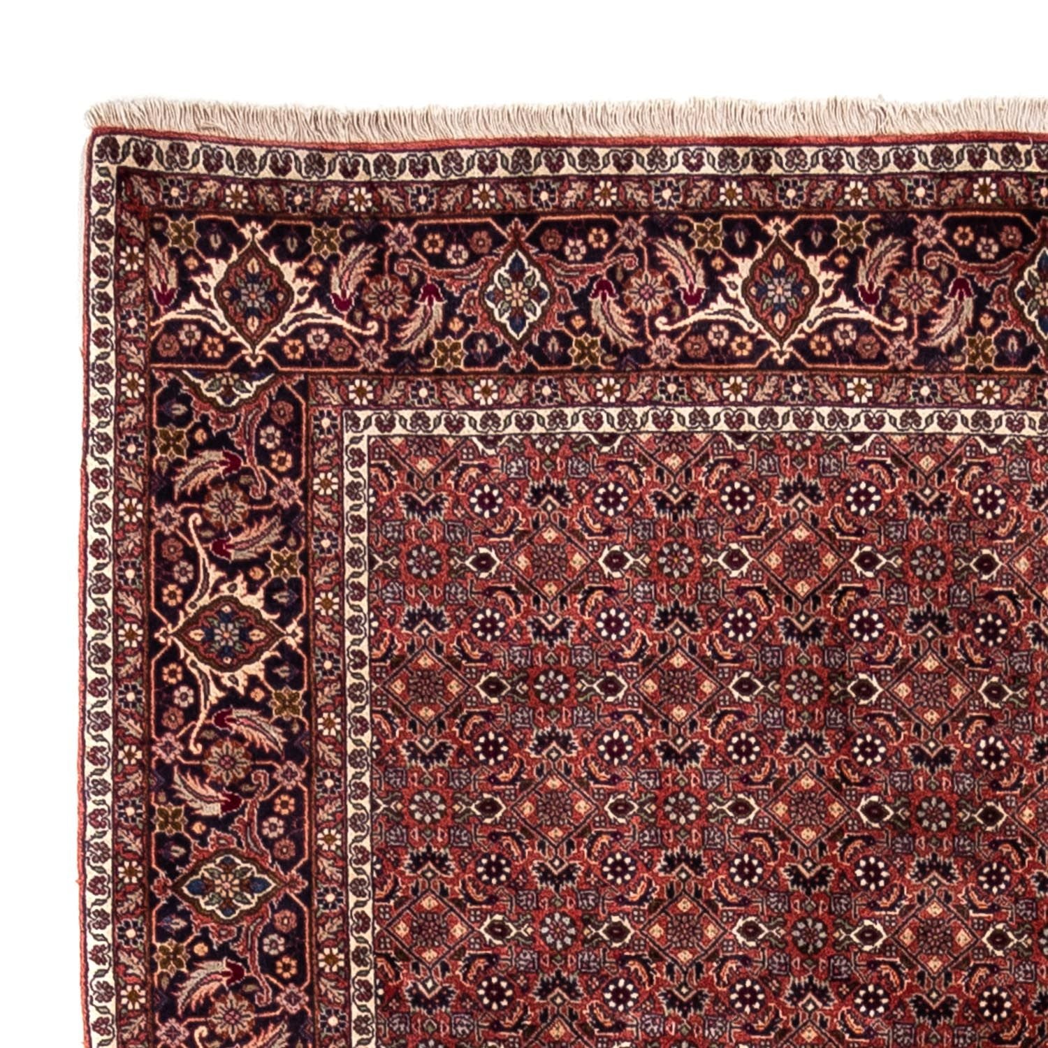 Tapis persan - Bidjar - 293 x 200 cm - rouge