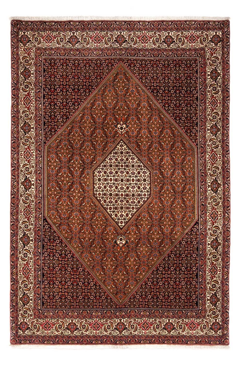 Tapis persan - Tabriz - 295 x 212 cm - rouille