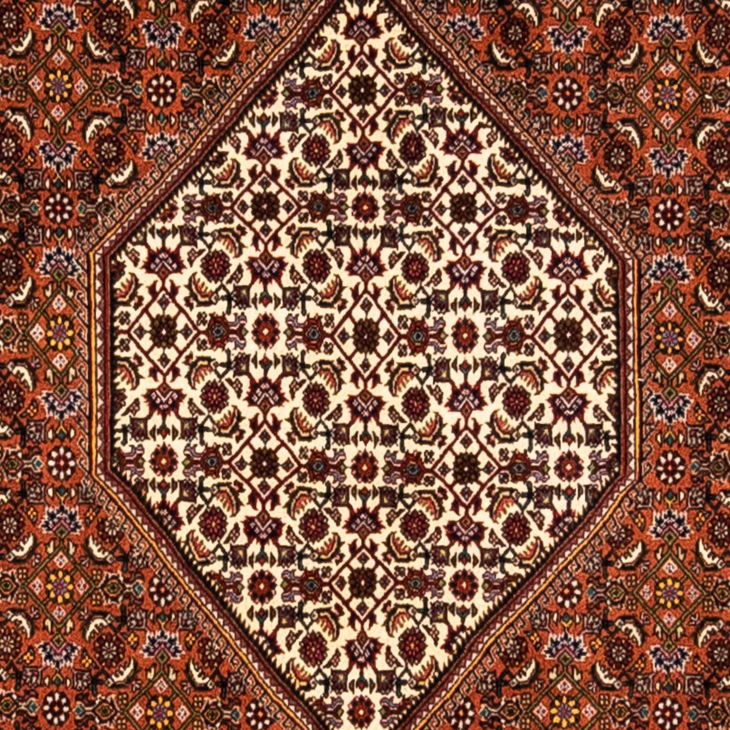 Tapis persan - Tabriz - 295 x 212 cm - rouille