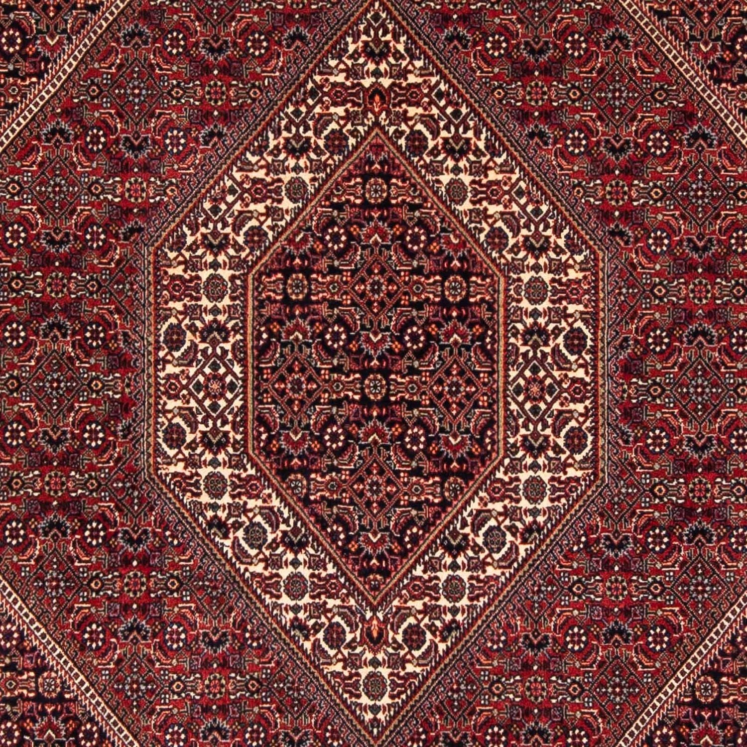 Tapis persan - Bidjar carré  - 152 x 148 cm - rouge foncé