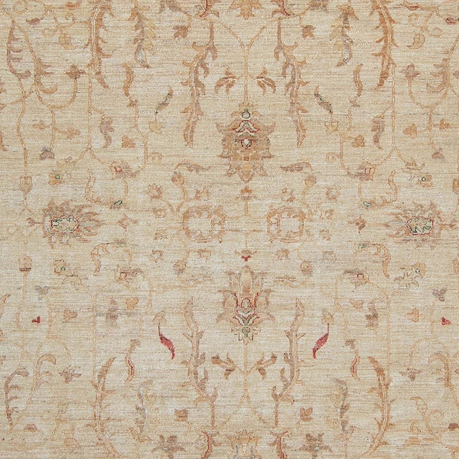 Ziegler Teppich 347 x 245 cm - hellbeige