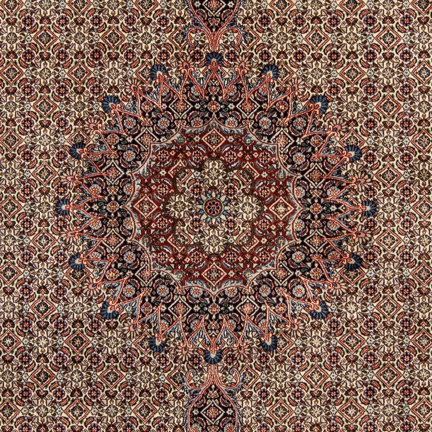 Perserteppich - Classic 294 x 204 cm