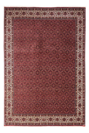 Perserteppich - Bidjar - Royal 343 x 251 cm