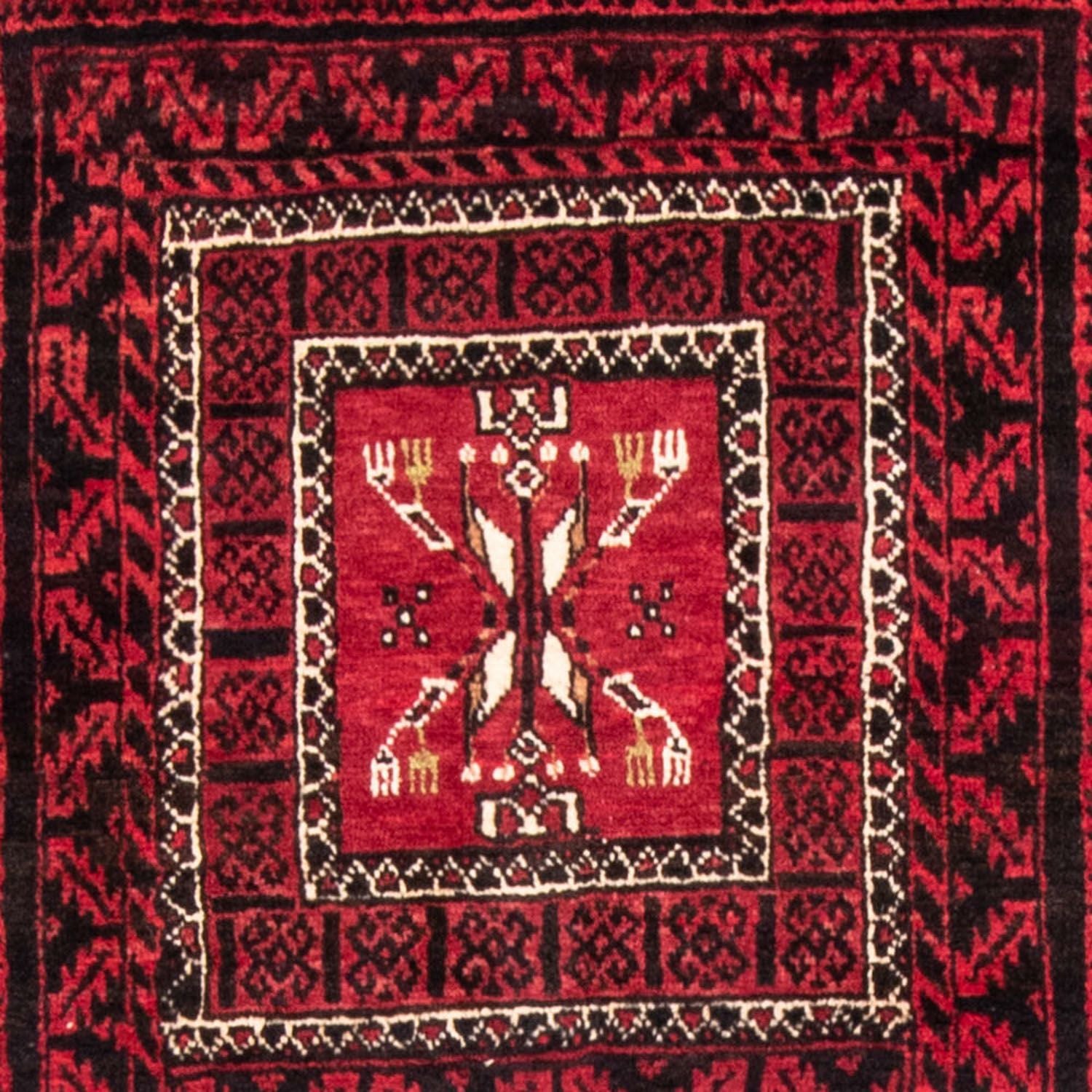 Tapis de couloir Tapis Belutsch - 220 x 114 cm - rouge