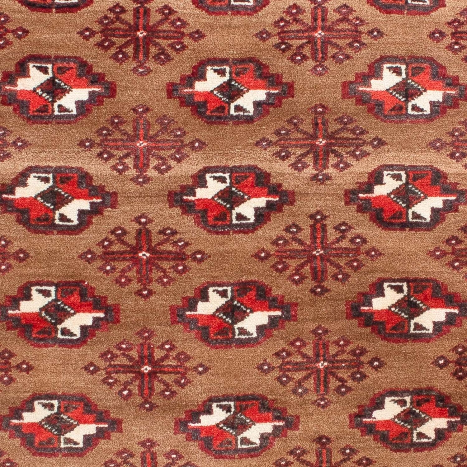 Tapis Belutsch - 154 x 98 cm - marron