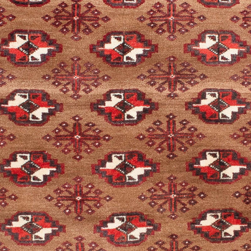 Tapis Belutsch - 154 x 98 cm - marron