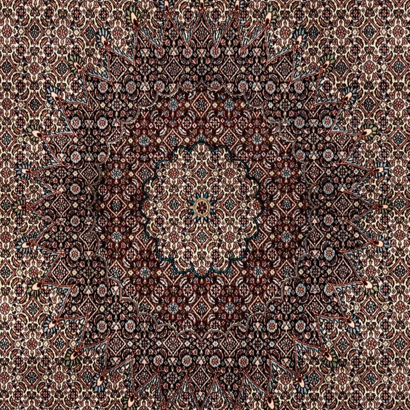Tapis persan - Classique - 333 x 248 cm - beige
