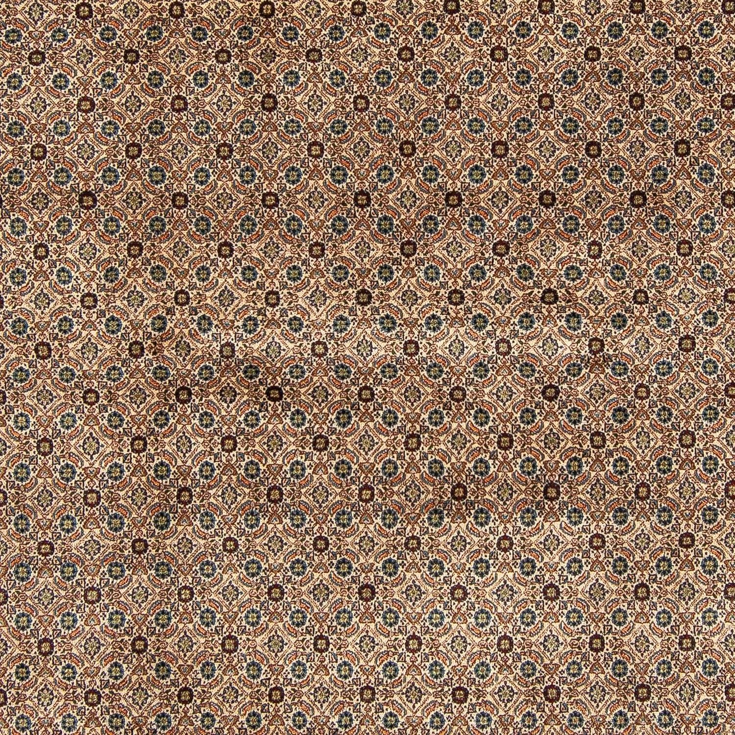 Tapis persan - Classique carré  - 257 x 248 cm - marron clair