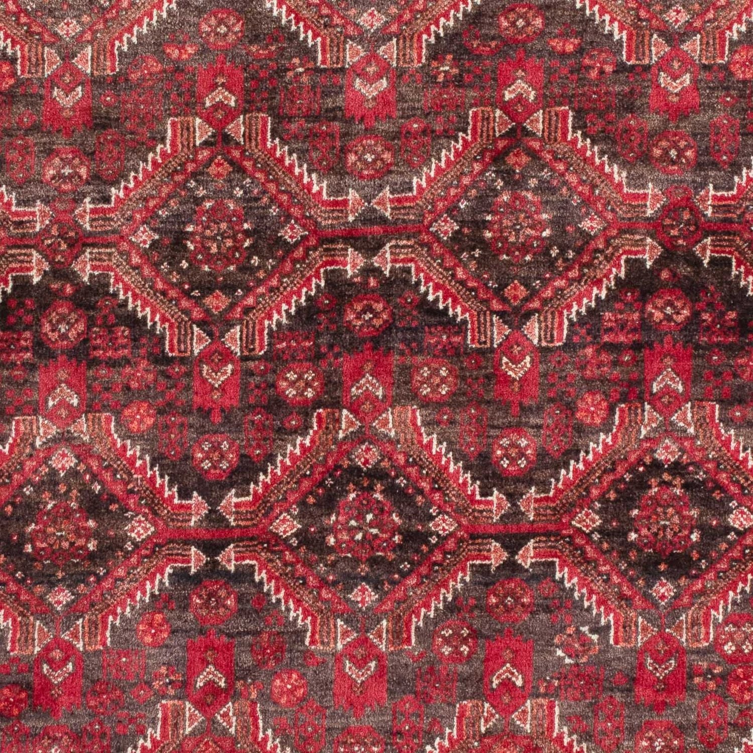 Tapis de couloir Tapis Belutsch - 195 x 99 cm - rouge foncé