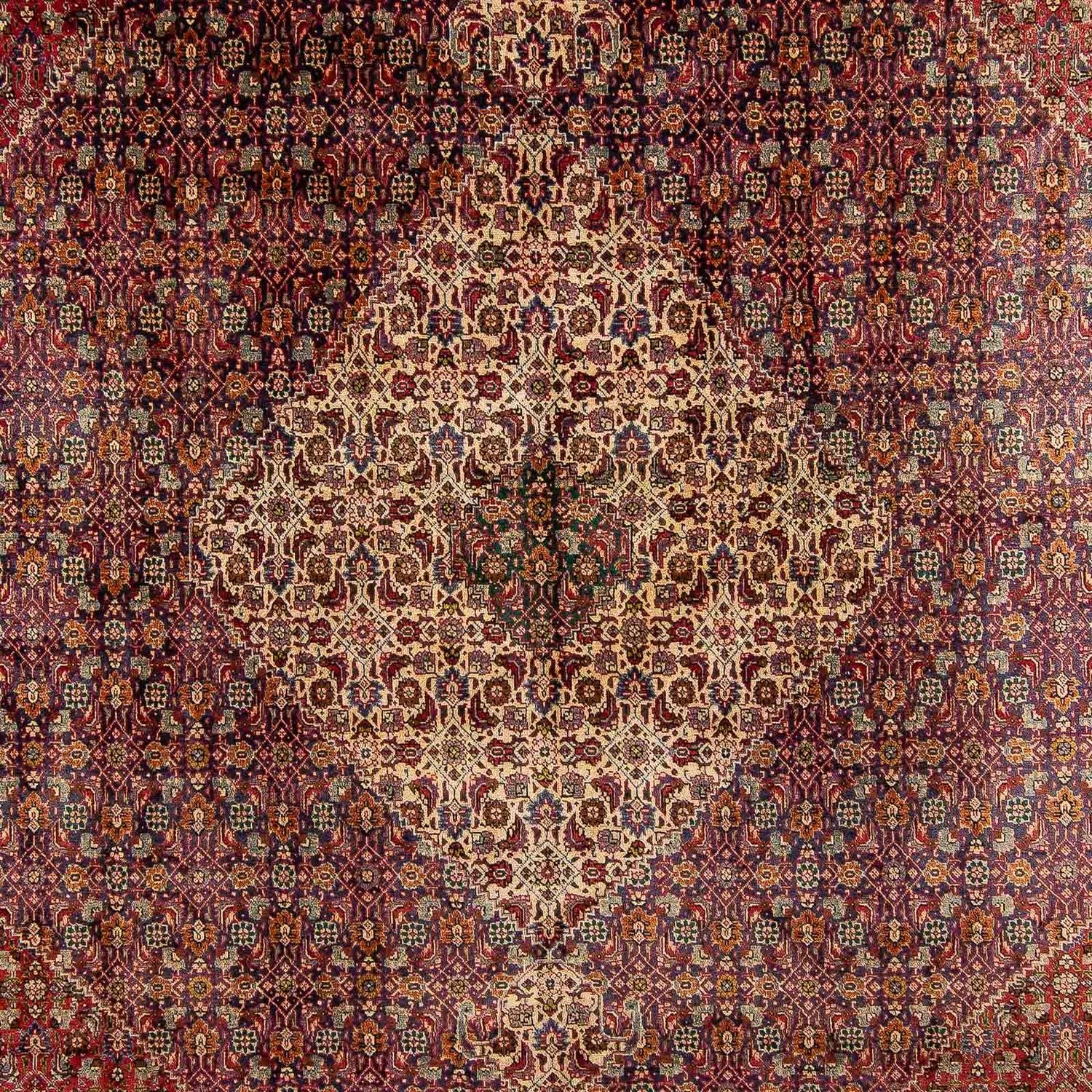 Tapis persan - Tabriz - 392 x 310 cm - multicolore