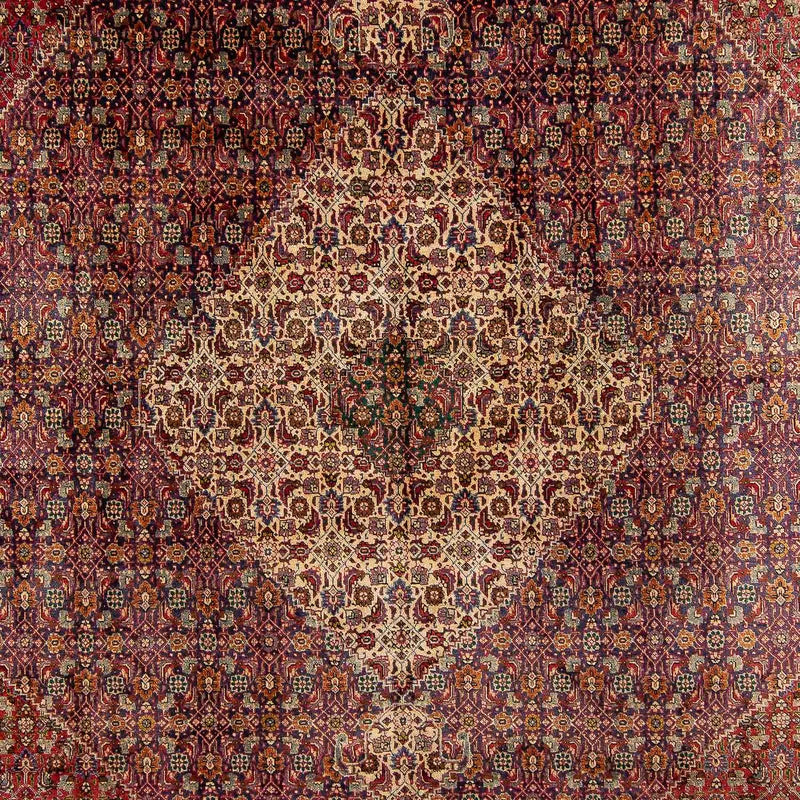 Tapis persan - Tabriz - 392 x 310 cm - multicolore