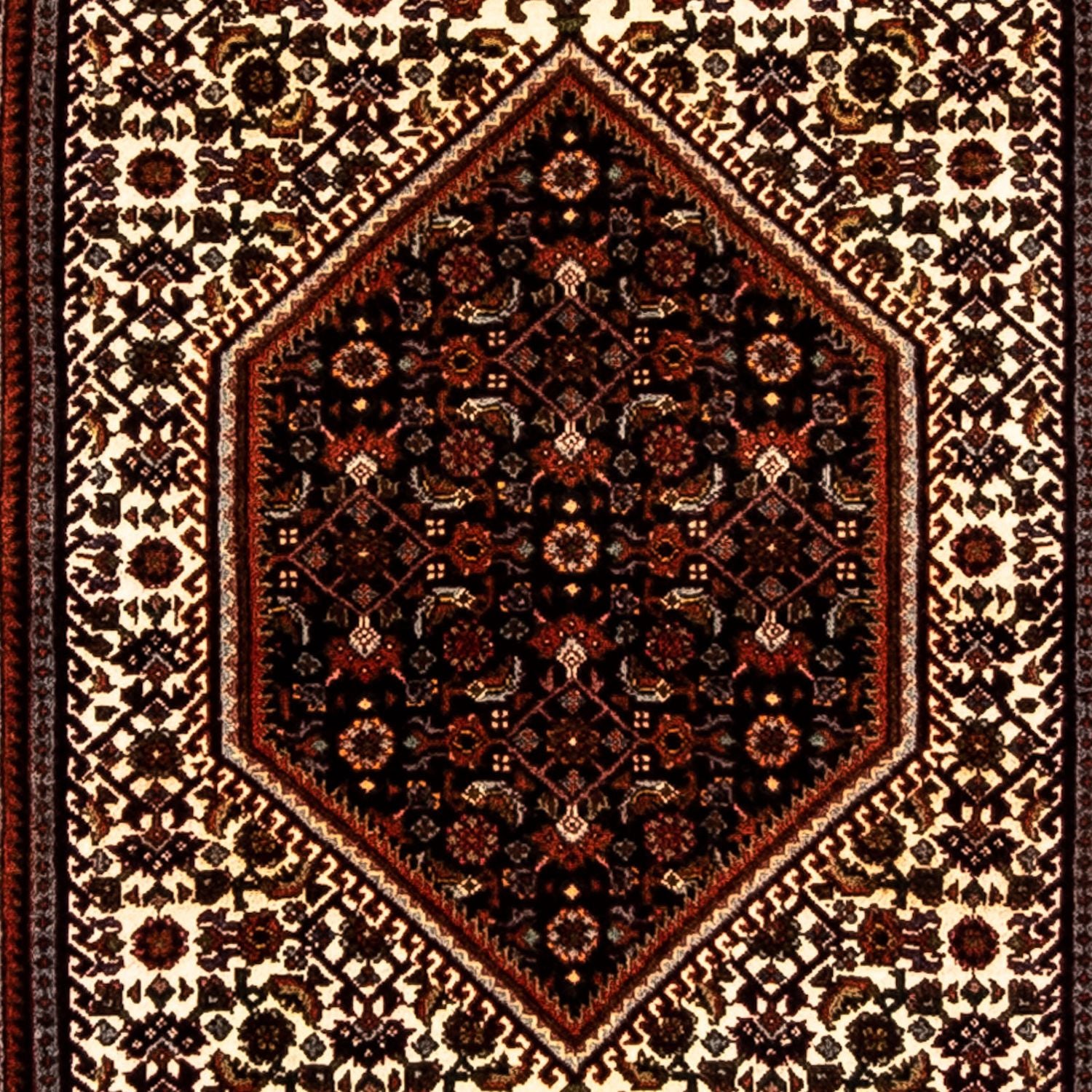 Tapis de couloir Tapis persan - Bidjar - 235 x 74 cm - rouge foncé