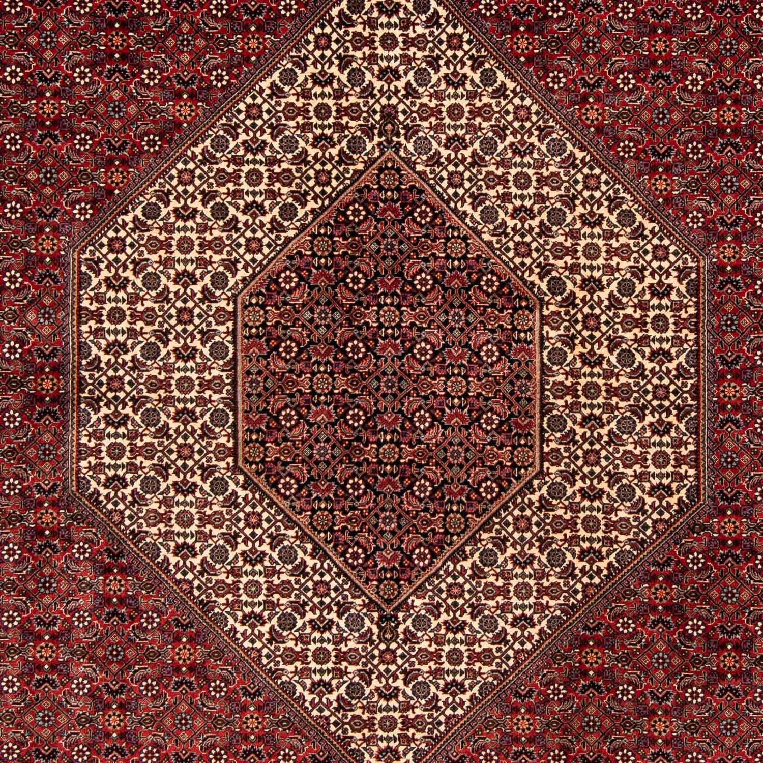 Perserteppich - Bidjar 261 x 206 cm