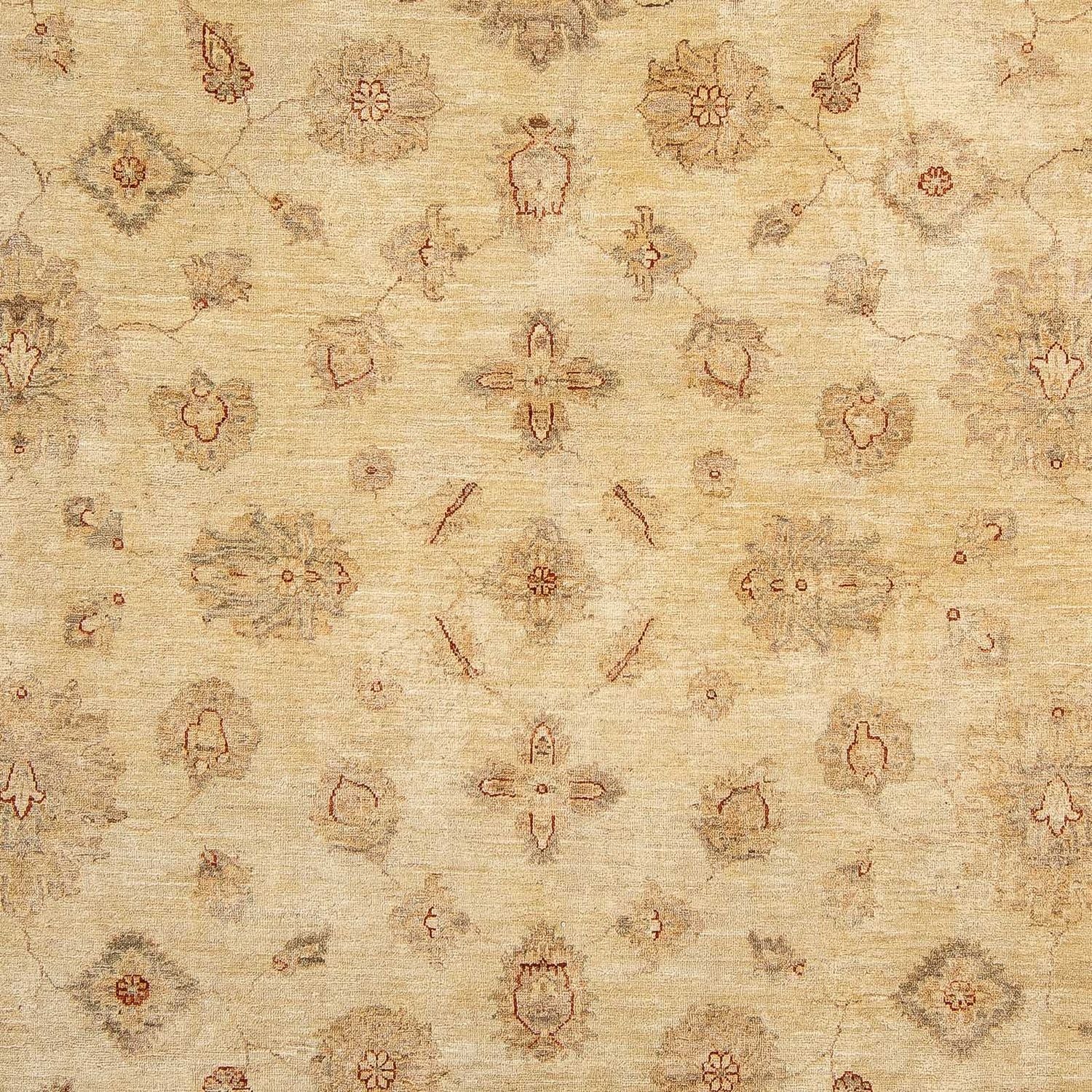 Tapis Ziegler - 303 x 246 cm - marron clair