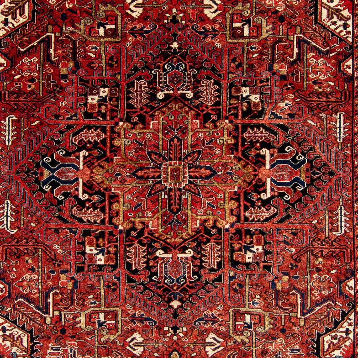 Perserteppich - Nomadic 380 x 260 cm