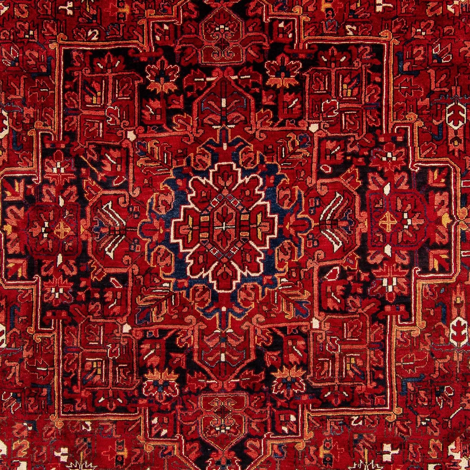 Tapis persan - Nomadic - 391 x 304 cm - rouge foncé