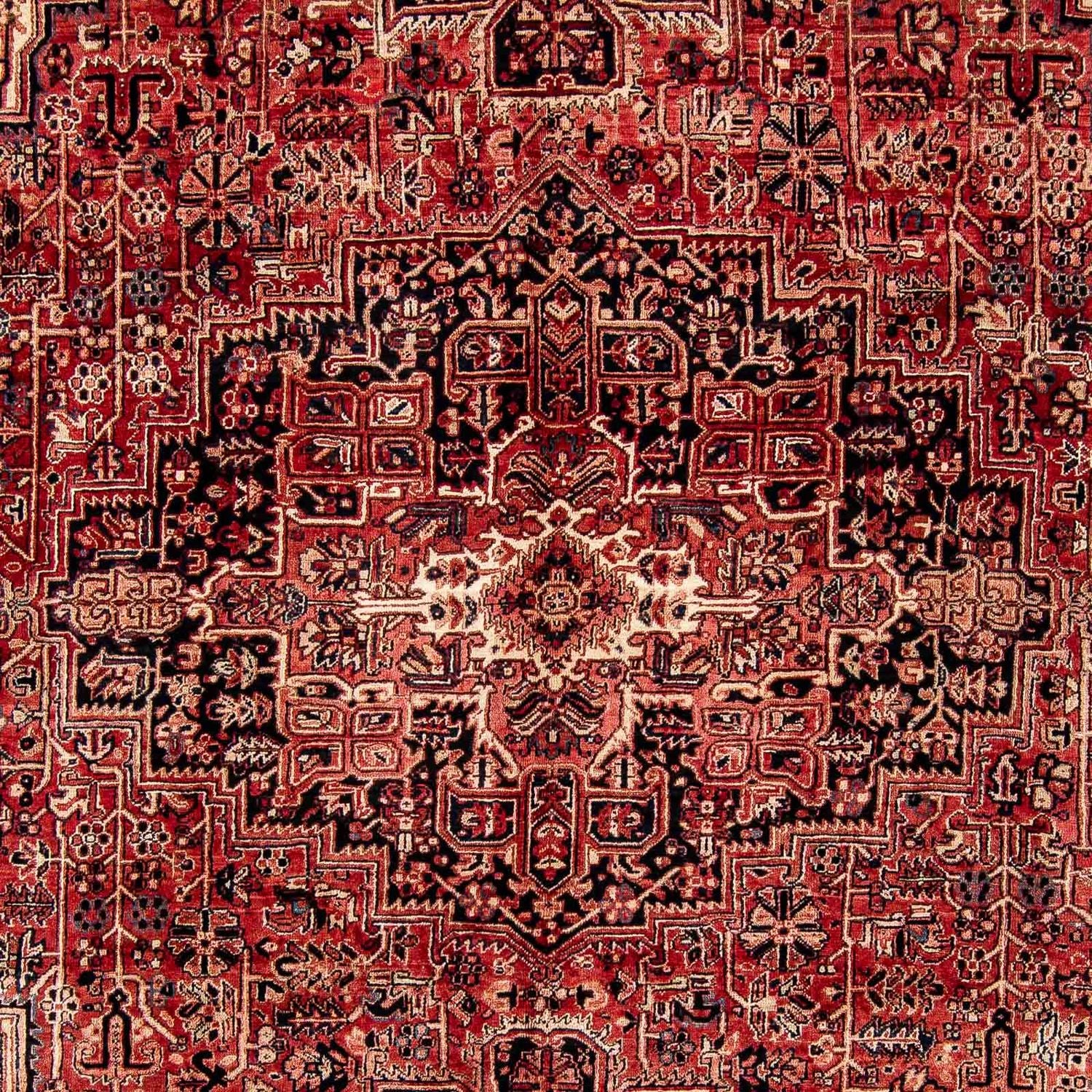Tapis persan - Nomadic - 388 x 298 cm - rouge foncé